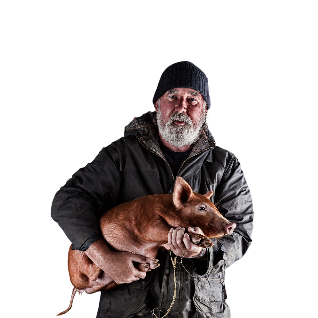 Bác Tuấn Bác Tuấn